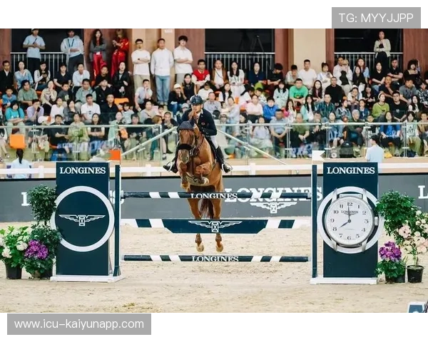 比利时马术协会举办国际马术科技大会，推动行业技术交流与合作。